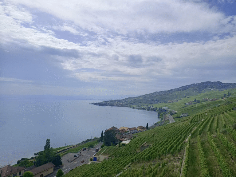 瑞士小眾景點（中）｜新手推薦健行路線：Lavaux 世界遺產葡萄園、Les Avants 水仙花步道